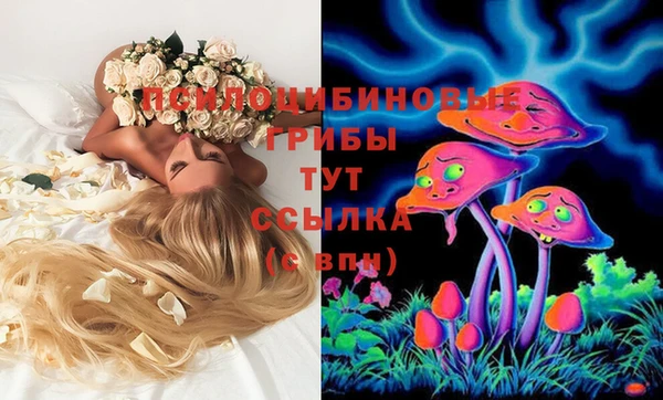 винт Алексин