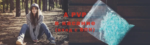 винт Алексин