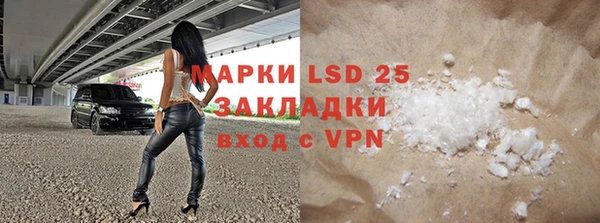PSILOCYBIN Алзамай