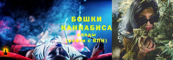 PSILOCYBIN Алзамай