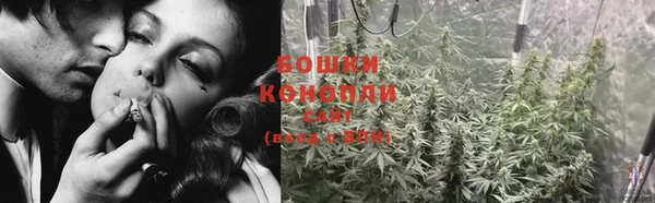 PSILOCYBIN Алзамай