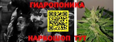 амф Лесосибирск