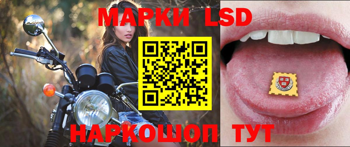 ЛСД экстази кислота  Вход с VPN  Шуя  ЛСД экстази ecstasy 
