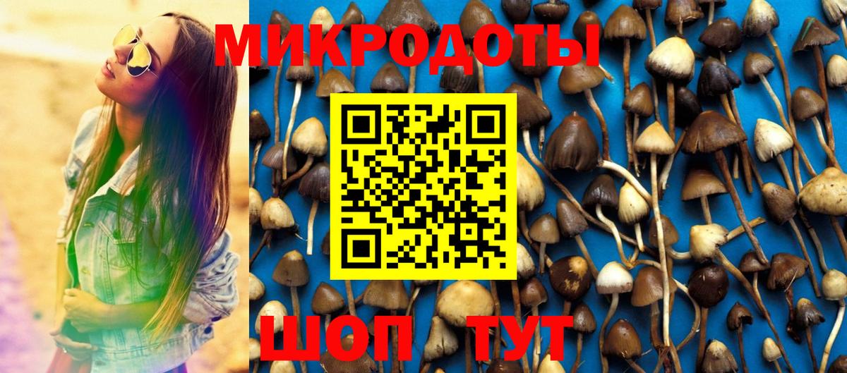 Шуя  Галлюциногенные грибы Psilocybine cubensis  Вход с VPN 